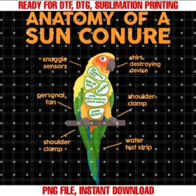 Cute Parakeet Anatomy Christmas for Men Women Kidsfunny Sun Conure Bird Lover Parrot Animals Pet Owner Gifts Tee