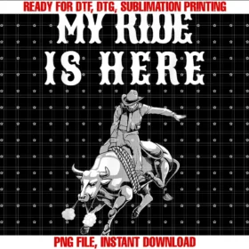 Cute Professional Bull Rider Gift Western Rodeofunny Rodeo Bull Riding Cowboy Men Women Boys Girls Kids Tee