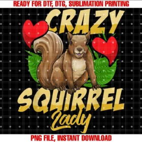 Cute Squirrel Lover Giftscrazy Squirrel Lady Funny Gift for Squirrel Lovers Tee